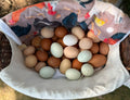 Farm Fresh Eating Eggs