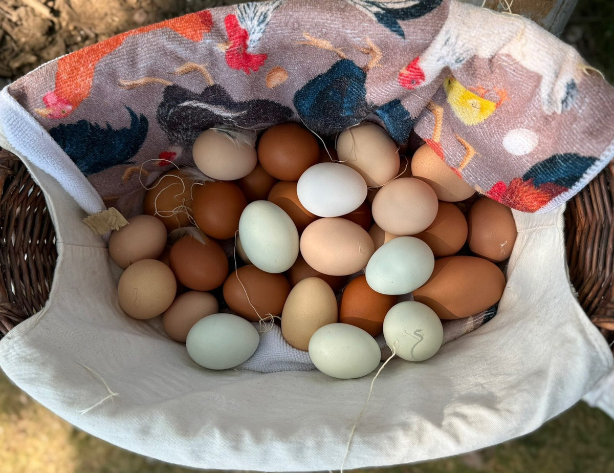 Farm Fresh Eating Eggs